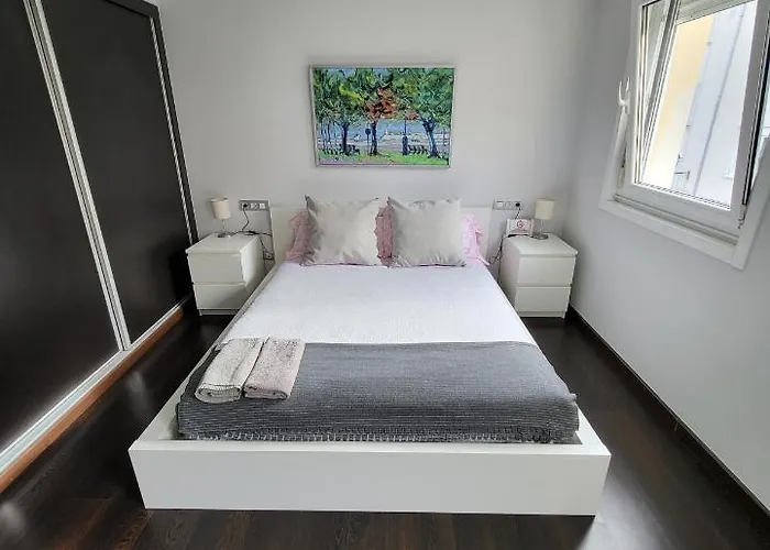 A 50 Metros Del Paseo Maritimo 公寓